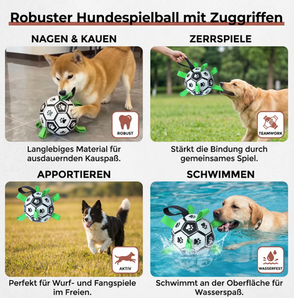 Hunde-Fußball mit Griffen