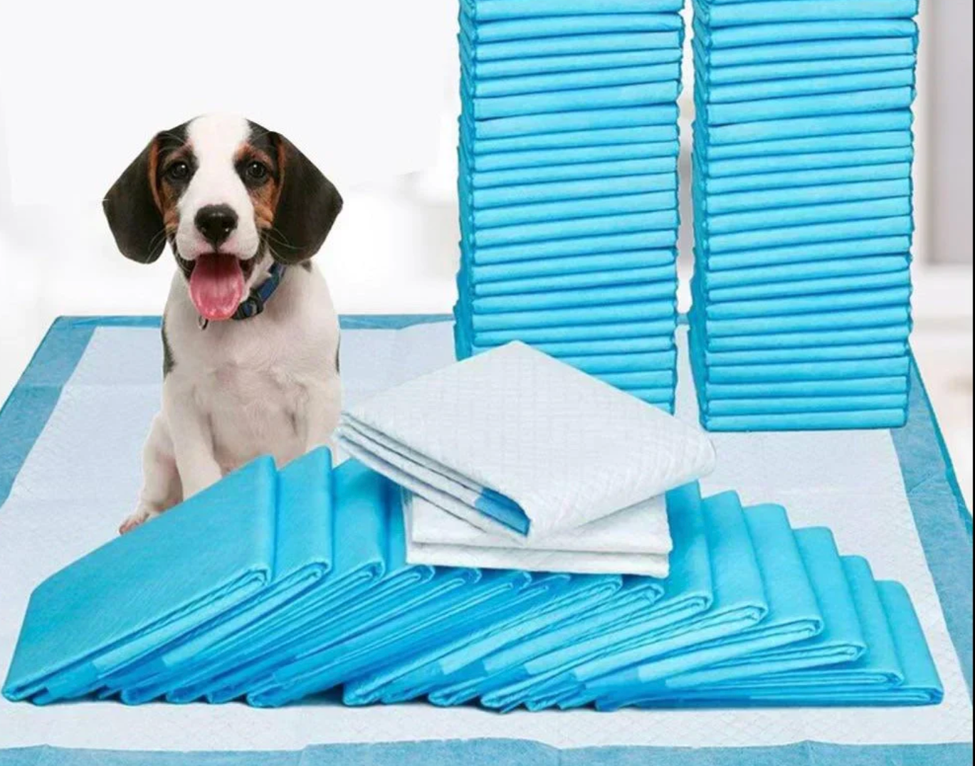 Saugstarke Einweg-Windeln für Hunde & Katzen