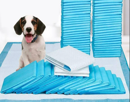 Saugstarke Einweg-Windeln für Hunde & Katzen