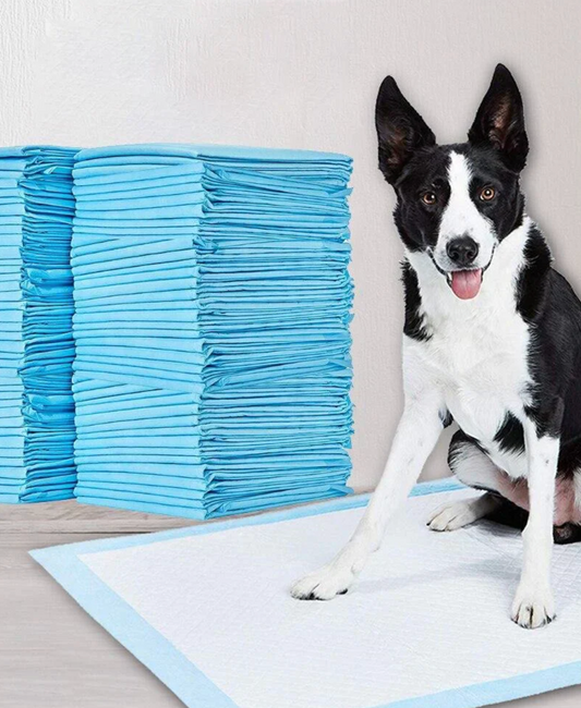 Saugstarke Einweg-Windeln für Hunde & Katzen