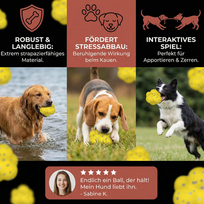 PowerBounce Hundeball