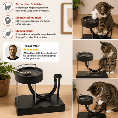 Interaktive Kugelbahn für Hunde & Katzen