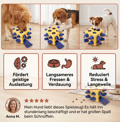 Intelligenzspielzeug mit Leckerli-Versteck