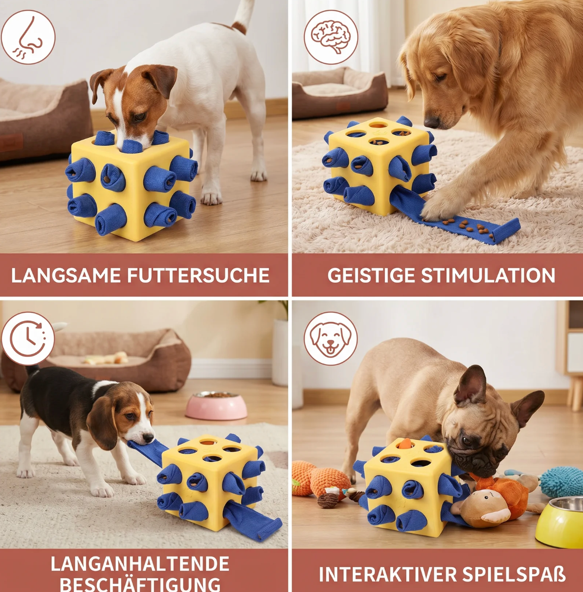 Intelligenzspielzeug mit Leckerli-Versteck