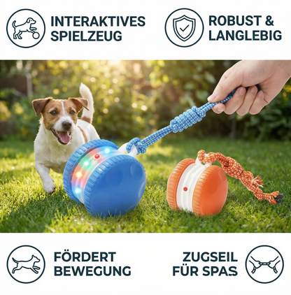 Interaktiver Rollball für Hunde & Katzen