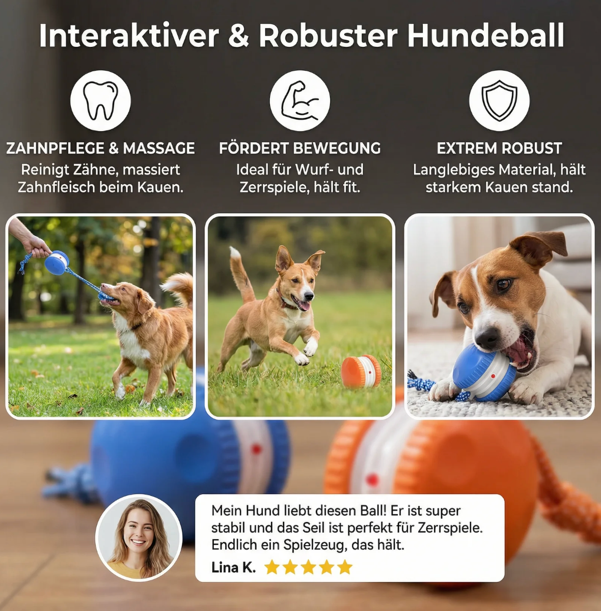 Interaktiver Rollball für Hunde & Katzen