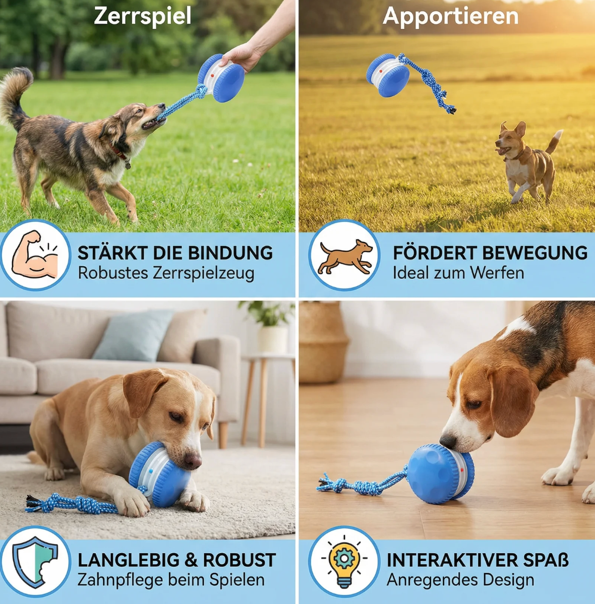 Interaktiver Rollball für Hunde & Katzen
