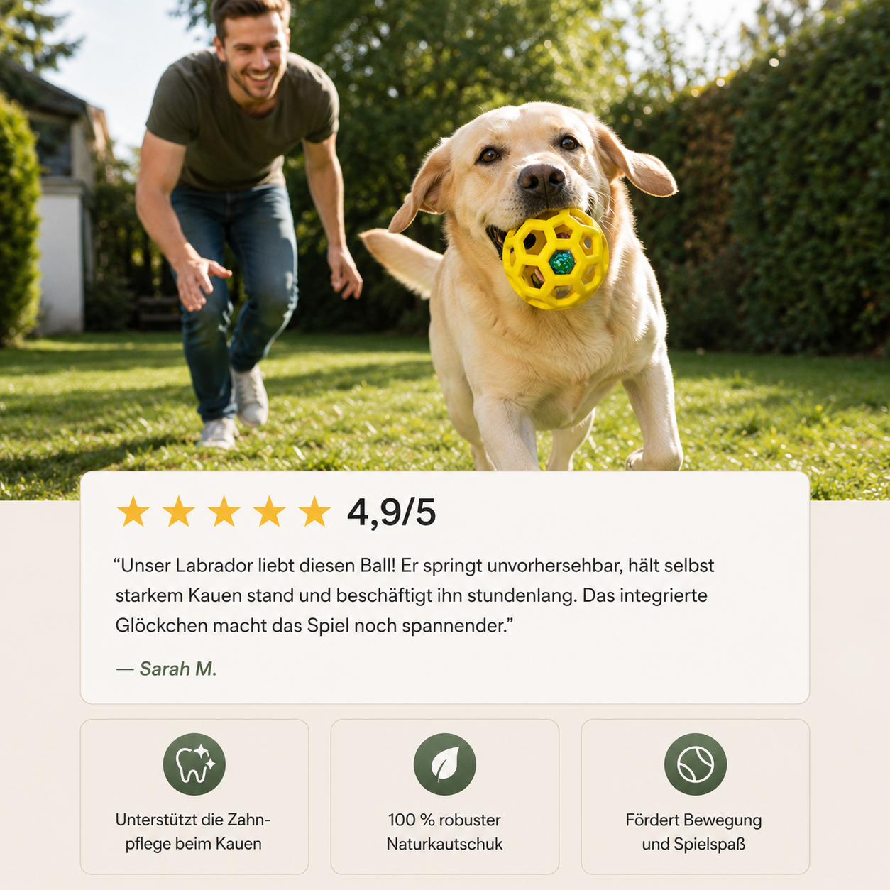 BellBounce Naturkautschuk Hundeball