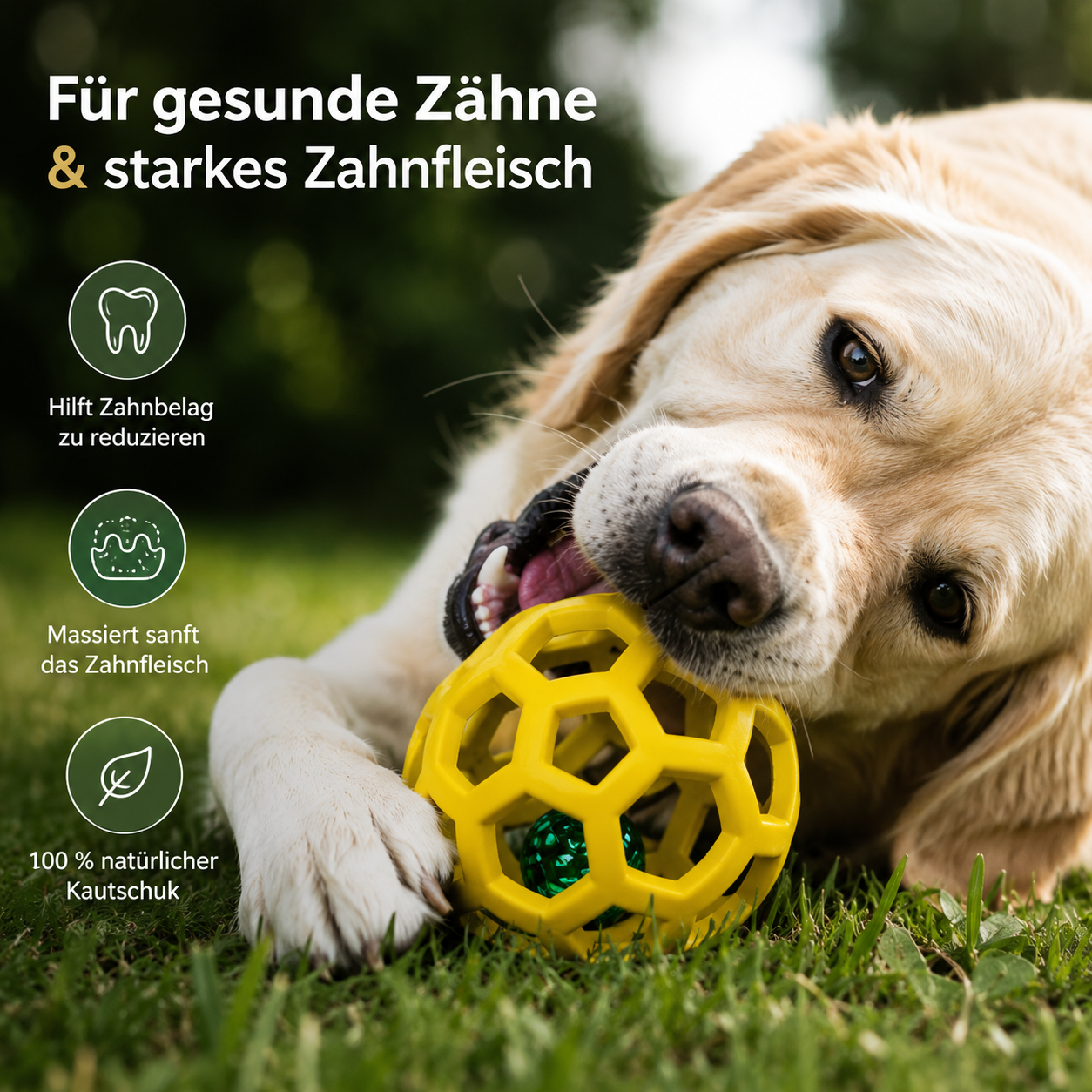 BellBounce Naturkautschuk Hundeball