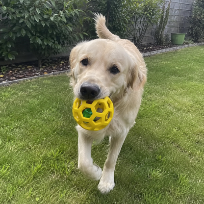 BellBounce Naturkautschuk Hundeball