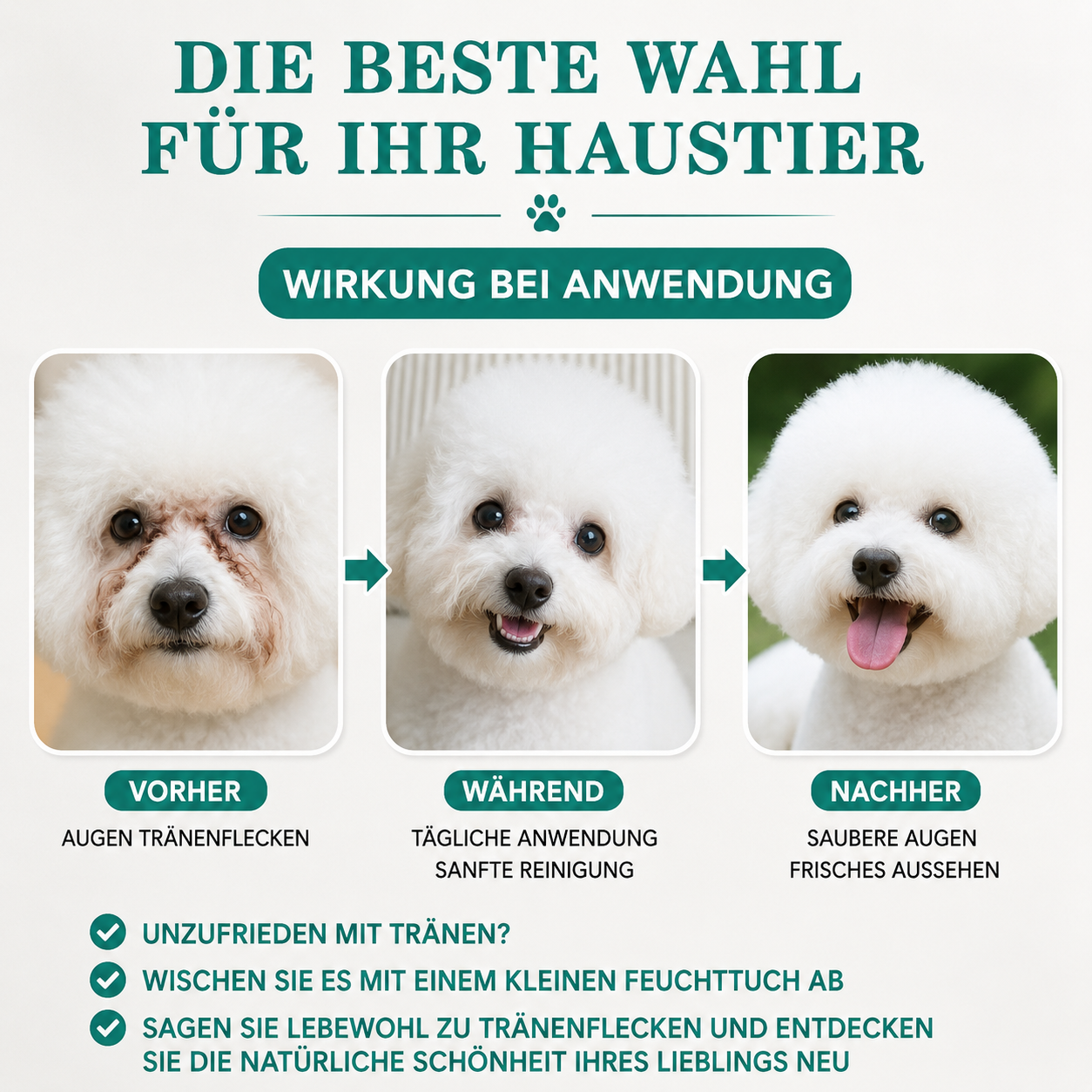 Augen- & Ohrenpflege Tücher für Hunde & Katzen