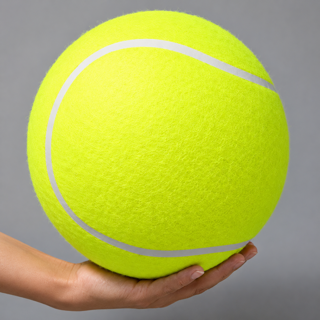 Riesen Tennisball für Hunde