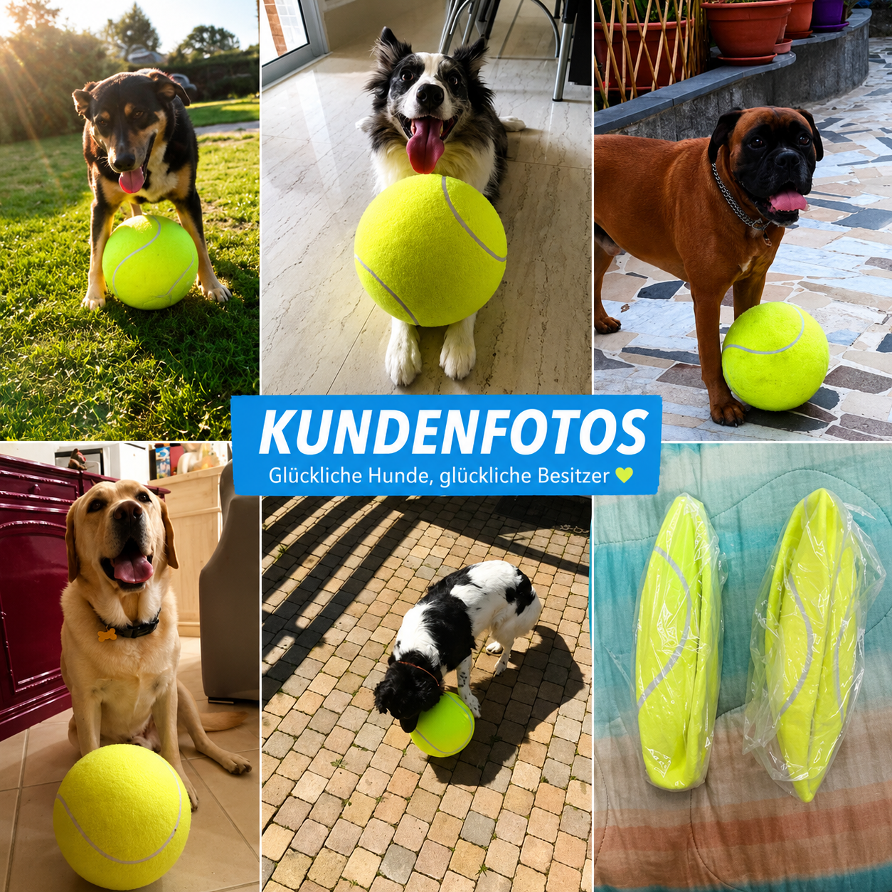 Riesen Tennisball für Hunde