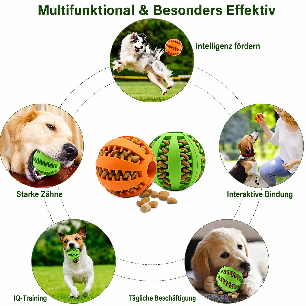 Leckerli Ball für Hunde & Katzen