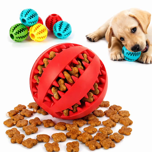 Leckerli Ball für Hunde & Katzen