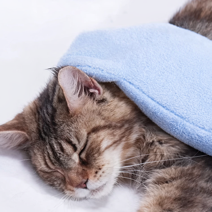 Badehandschuhe für Hunde & Katzen