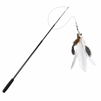 Teleskop Katzenangel