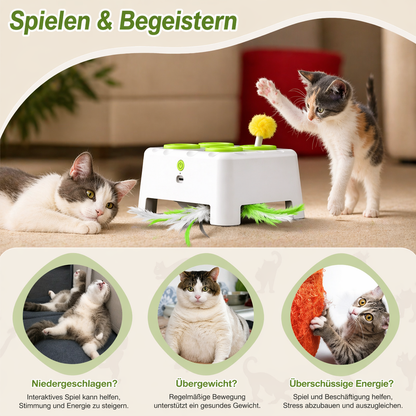 Automatisches Katzen Spielzeug mit Feder