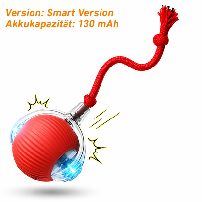 Smart Spielball für Hunde