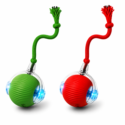 Smart Spielball für Hunde