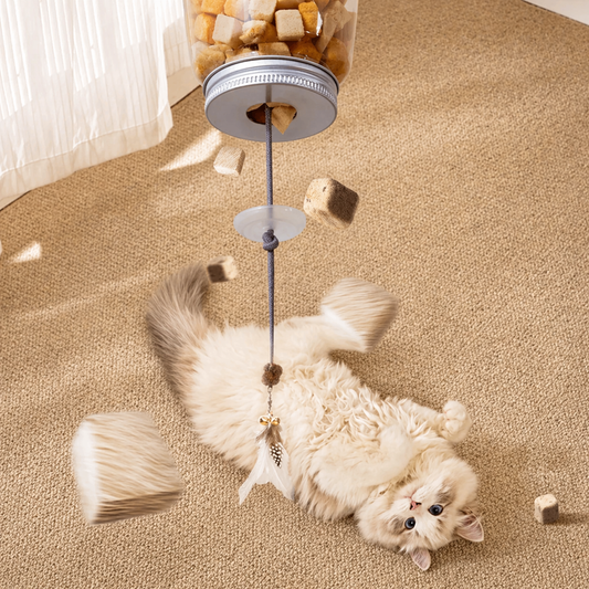 Katzen Spielzeug mit Leckerli-Spender