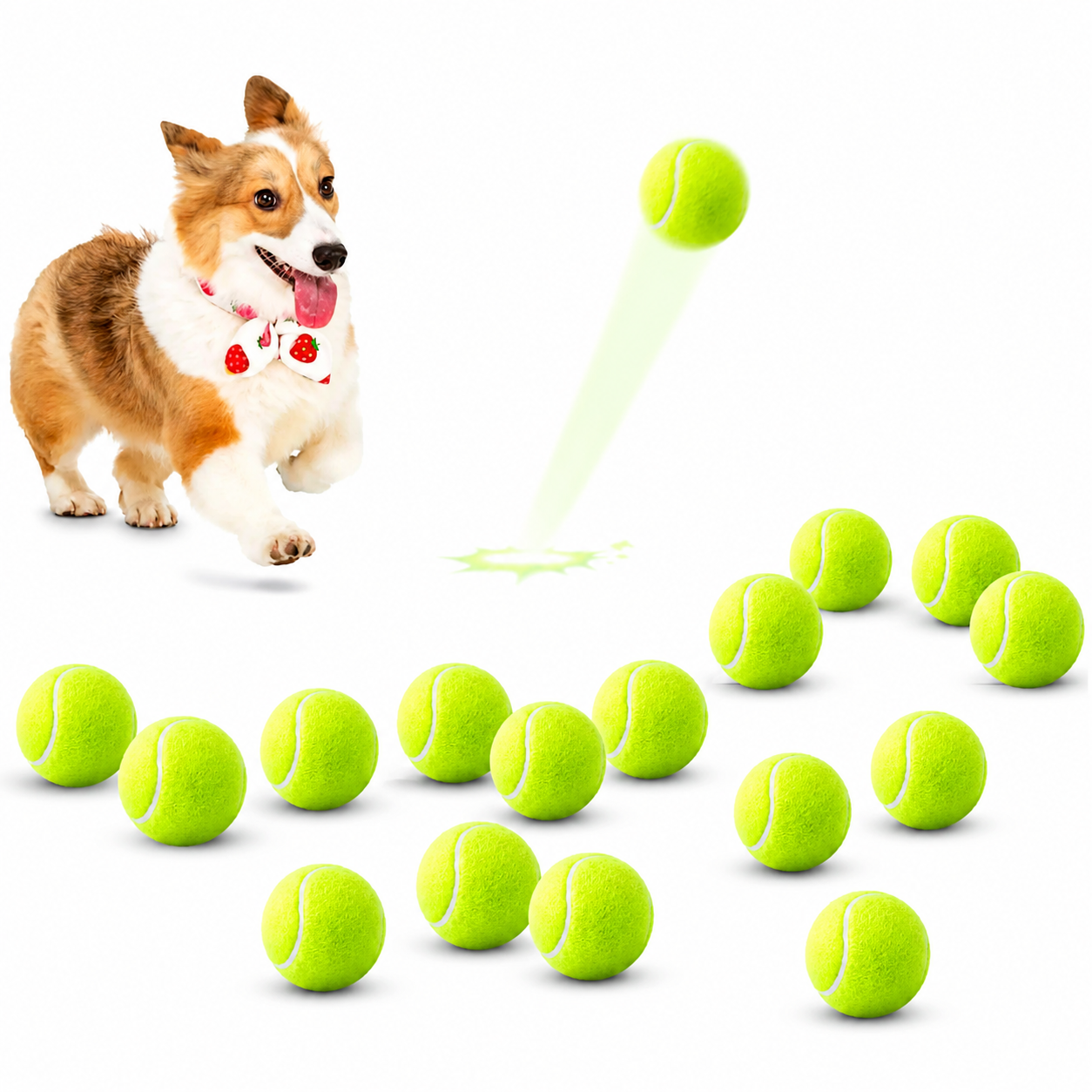 Tennisbälle für Hunde