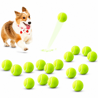 Tennisbälle für Hunde