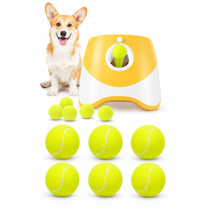 Tennisbälle für Hunde