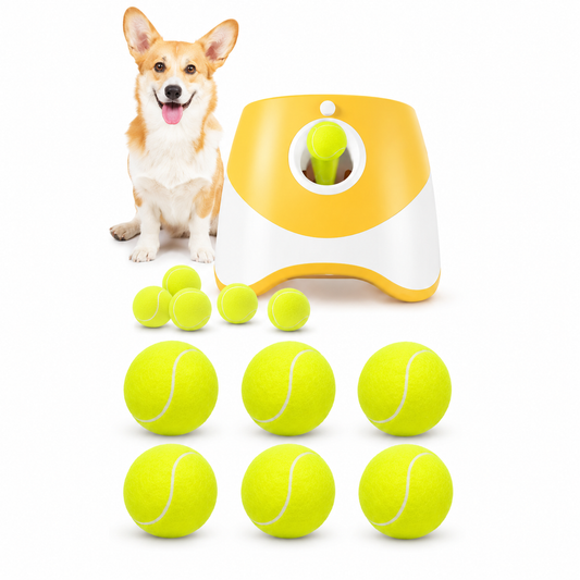 Tennisbälle für Hunde