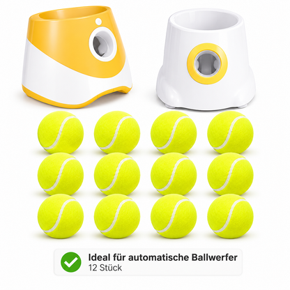 Tennisbälle für Hunde