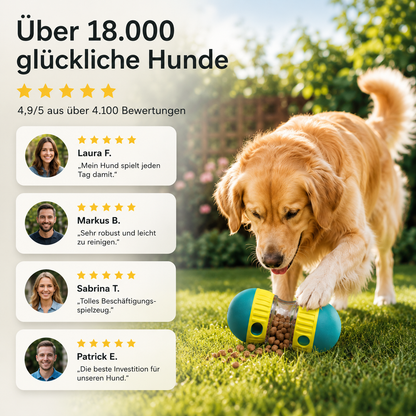 Snackball für Hunde
