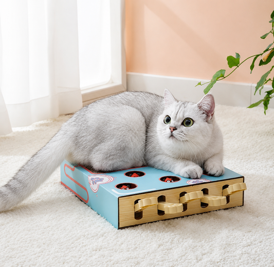 Interaktive Katzen Spielstation mit Kratzbrett