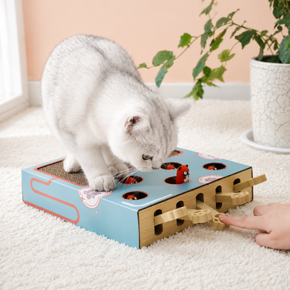 Interaktive Katzen Spielstation mit Kratzbrett