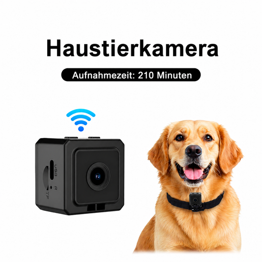 Haustier Kamera tragbar