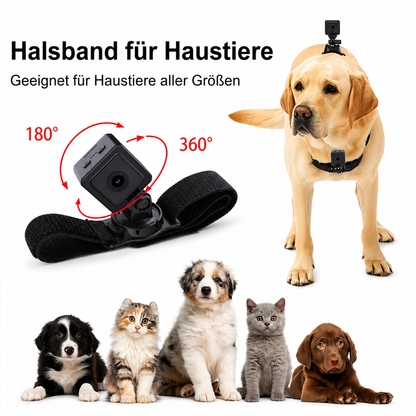 Haustier Kamera tragbar
