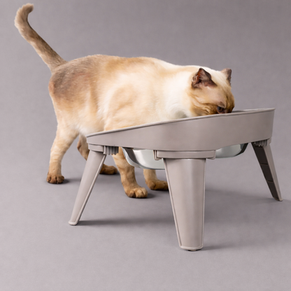 Edelstahl Futternapf 2-in-1