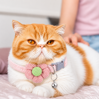Katzenhalsband mit Glocke & Blume