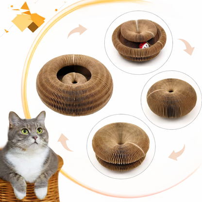 Katzen Kratzboard mit Spielball