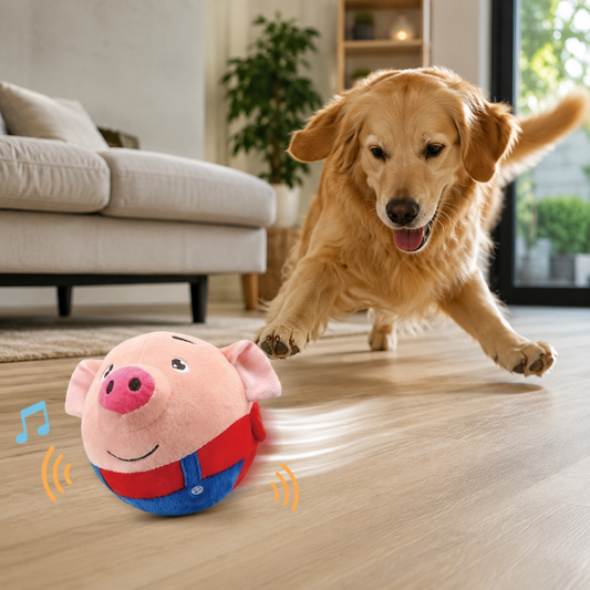 Selbstbewegendes Hundespielzeug