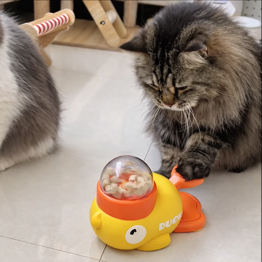 Interaktiver Futterspender Spielzeug