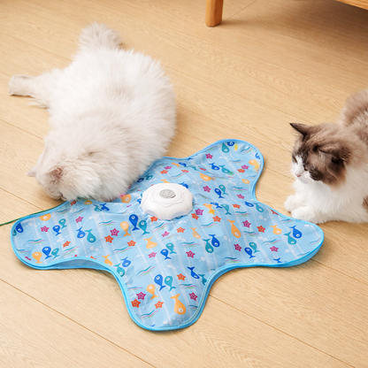Interaktives Katzen Versteckspiel Spielzeug