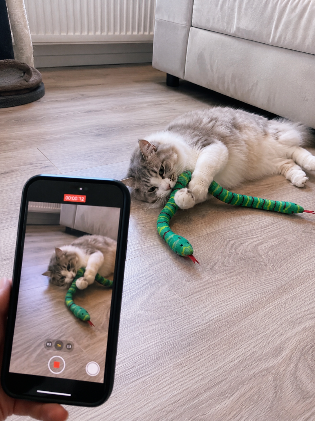 Katzenminze-Schlangen Spielzeug für Katzen