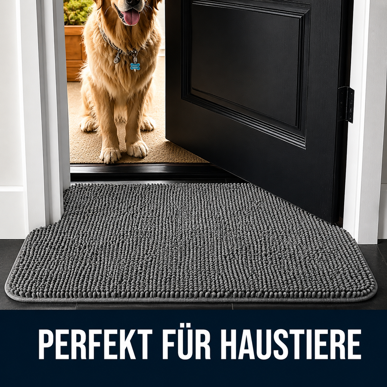 Schmutzfangmatte für Hunde & Katzen