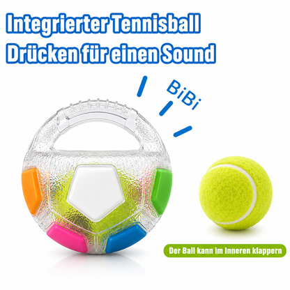 Fußball Hundespielzeug