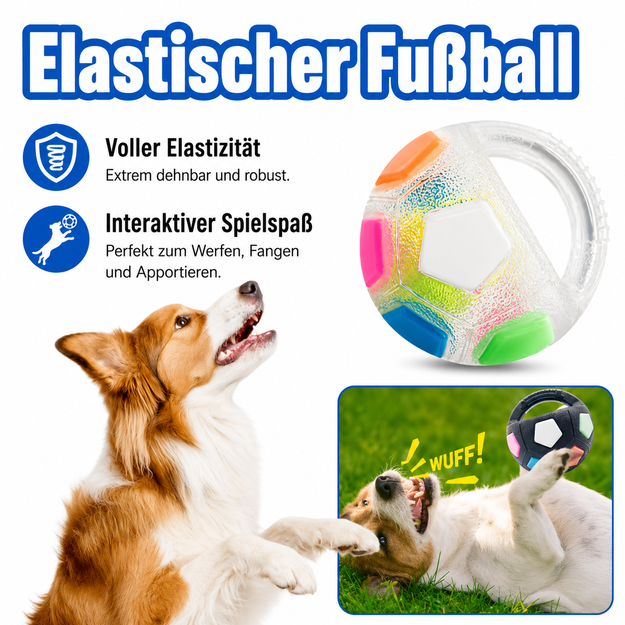 Fußball Hundespielzeug
