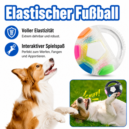 Fußball Hundespielzeug