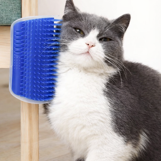 Katzen Kratz- & Massagebürste für Ecken