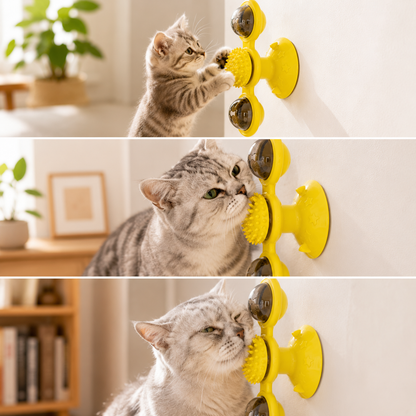 Wand-Kreiselspielzeug für Katzen
