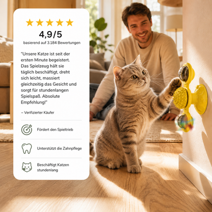 Wand-Kreiselspielzeug für Katzen