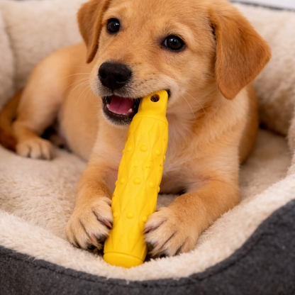 Kauknochen für Hunde